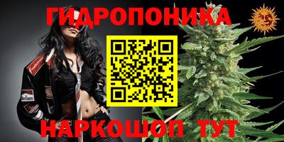 стафф Бугуруслан